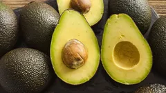 È possibile coltivare l'avocado in casa: consigli e tecniche