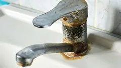 È possibile rimuovere le macchie di ruggine così ostinate dai componenti del bagno, e come si fa?