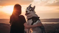 Il più fedele amico dell'uomo: un cane può dimenticare il proprio padrone?