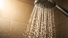 Come rimuovere il calcare dal soffione della doccia: il metodo utilizzato dagli idraulici
