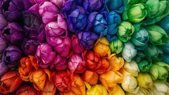 Cosa dice il tuo colore preferito sulla tua personalità, secondo la psicologia dei colori?