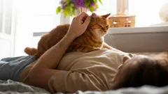 Il tuo piccolo guaritore peloso: perché il tuo gatto viene da te quando non ti senti bene?