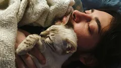 Perché i gatti dormono sulle persone: i motivi di questa adorabile abitudine
