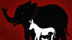 Un'interessante illusione ottica: quanti animali riesci a trovare in questa immagine in 10 secondi?